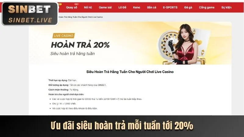 Phân tích thị trường cá cược Việt Nam